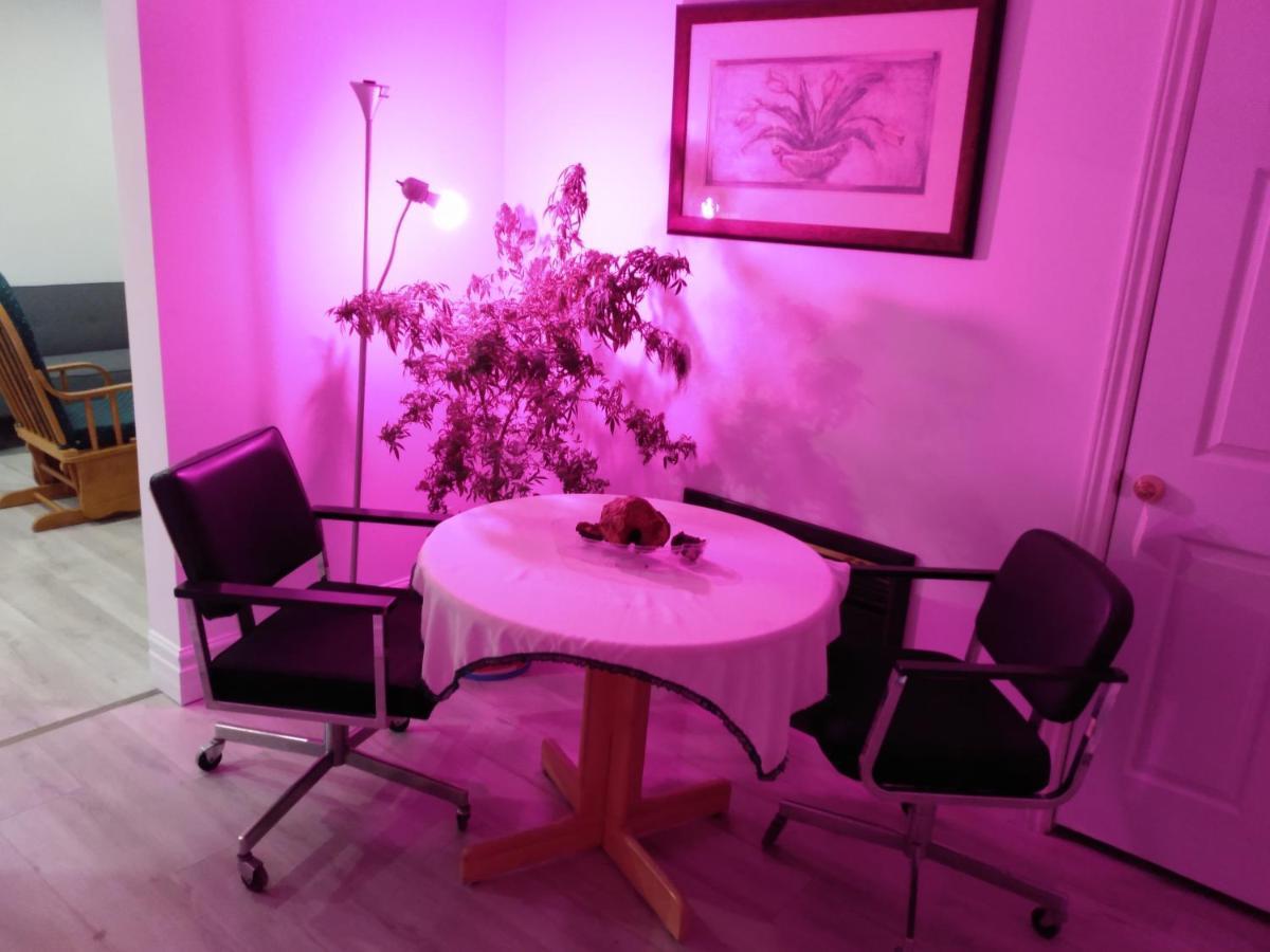 Healing Touch Holistic Living Space Amherst Kültér fotó